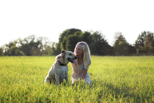 The 5 Things I Wish I Knew Before Getting My Dog