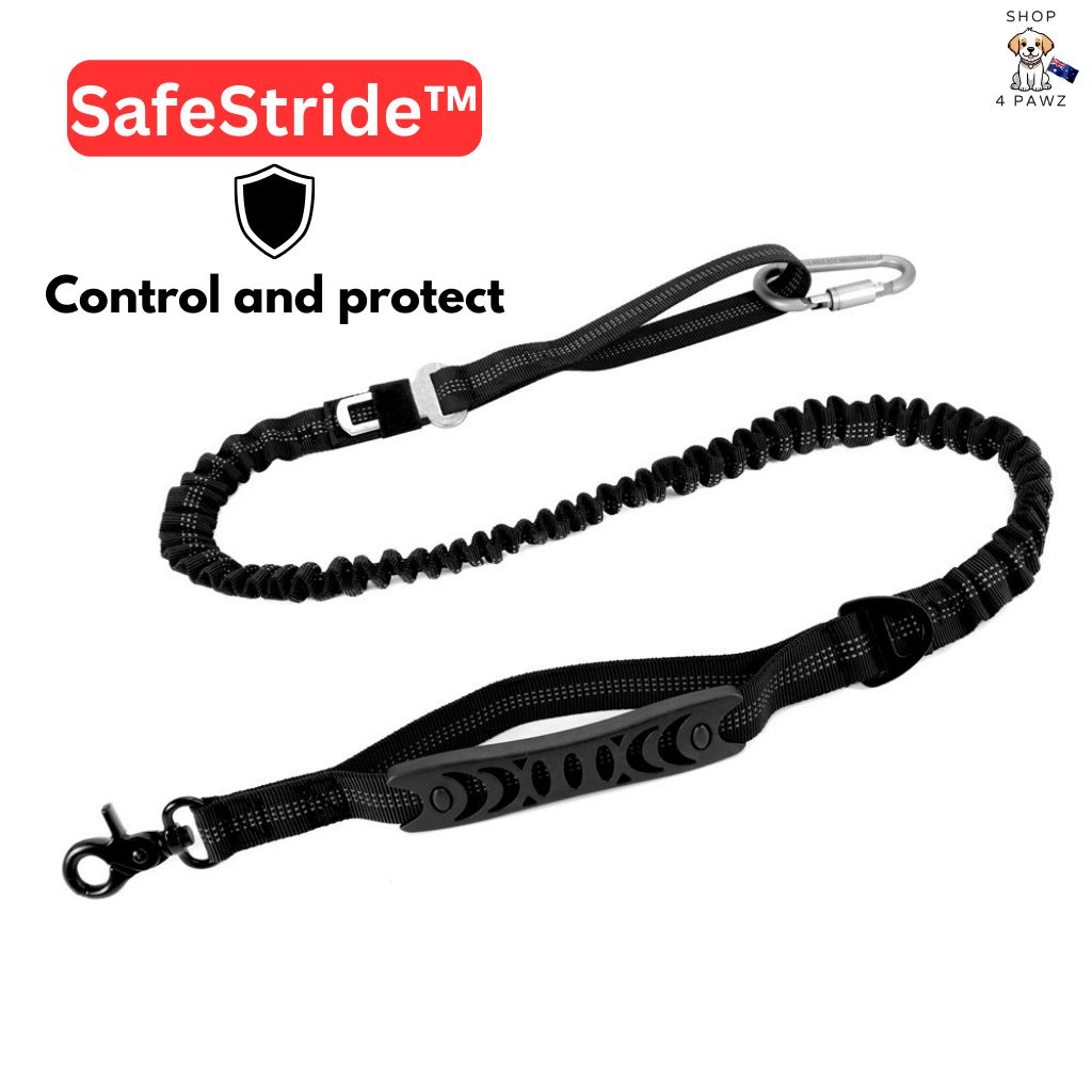 The Ultimate SafeStride™ Heavy Duty Dog Leash - Shop 4 pawz