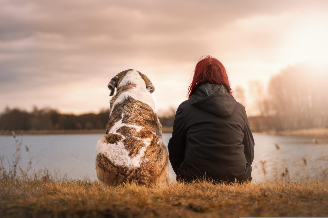 The Unspoken Side of Being a Dog Mom: Guilt, Anxiety, and Loving Hard