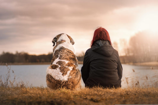 The Unspoken Side of Being a Dog Mom: Guilt, Anxiety, and Loving Hard