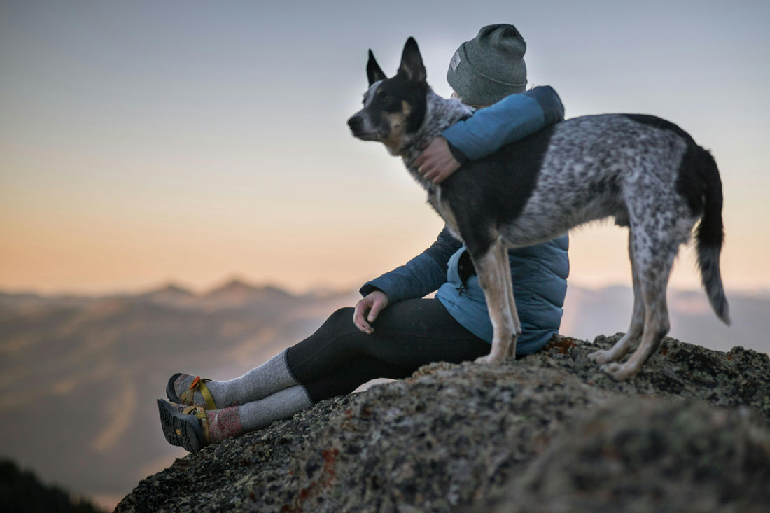 The 3 Most Important Commands I Taught My Dog — And Why They Saved Our Sanity