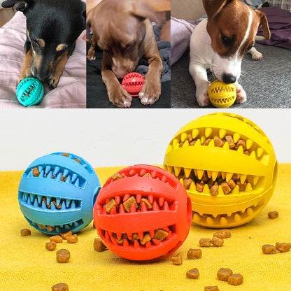Pet Slow Feeder Ball Toy - Shop 4 pawz