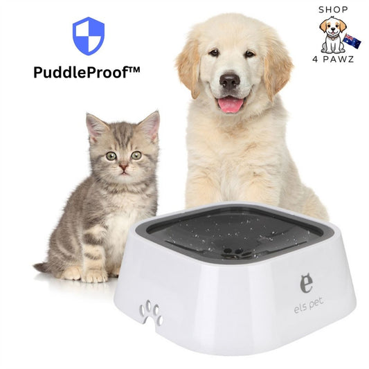 PuddleProof™ Dog Bowl