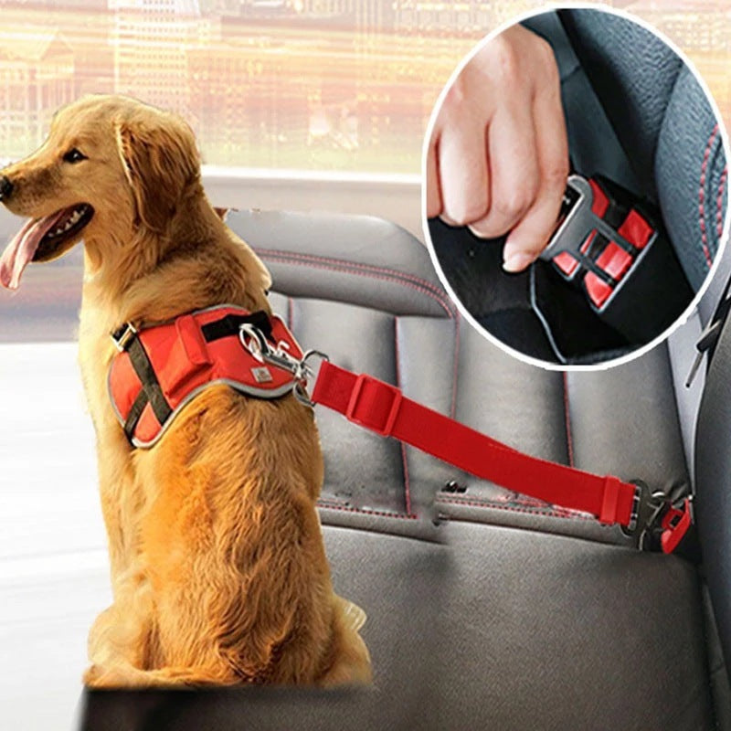 Fantastic Dog Seatbelt With Belt clip for Extra Safety - Shop 4 pawz