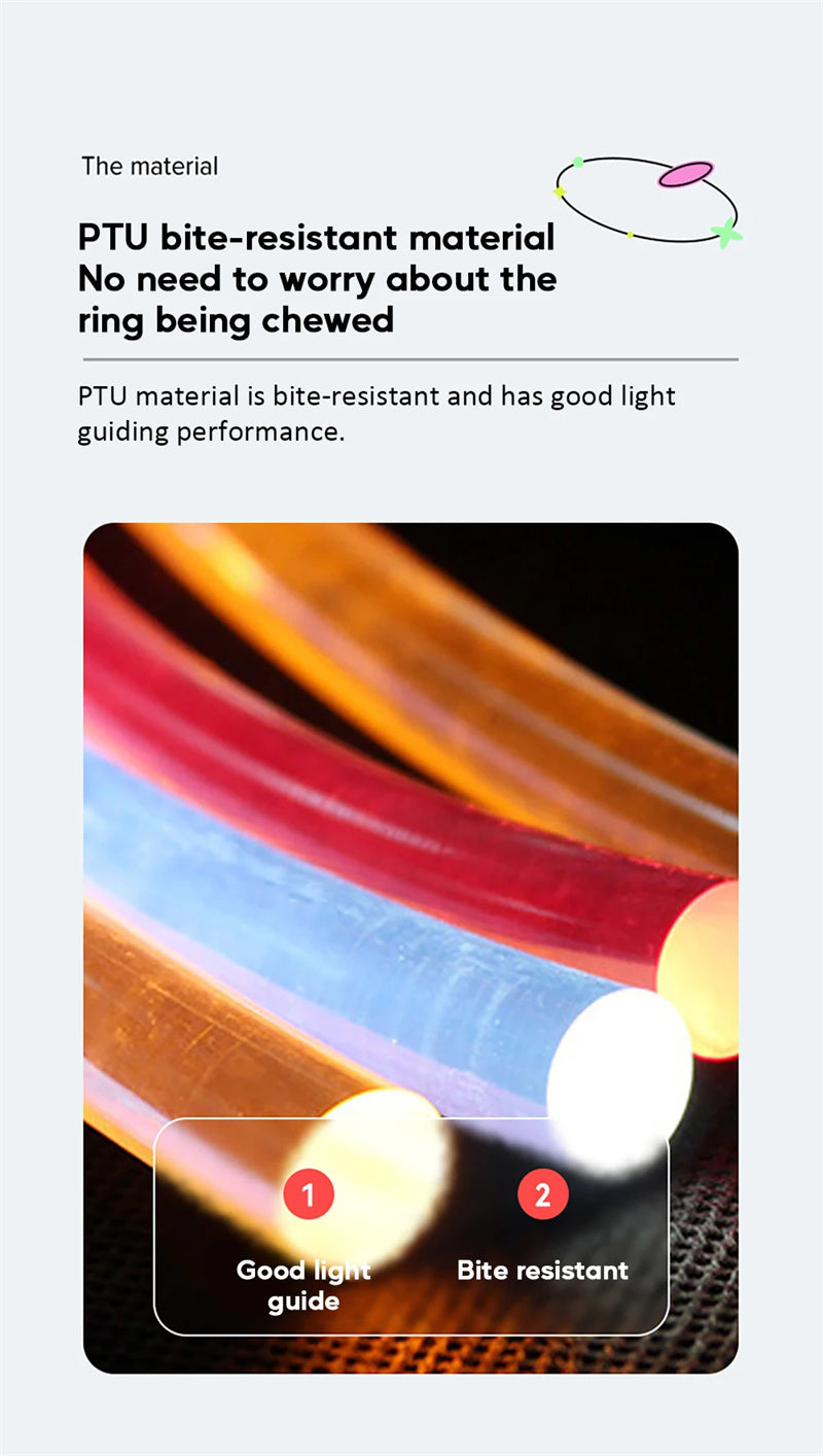 LED Light Dog Flying Discs - Shop 4 pawz