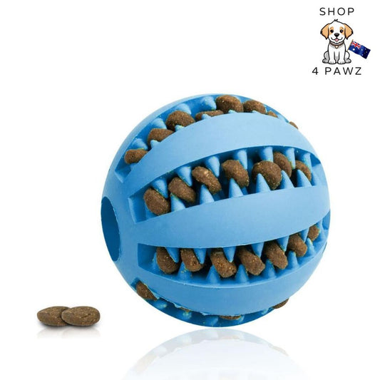 Pet Slow Feeder Ball Toy - Shop 4 pawz