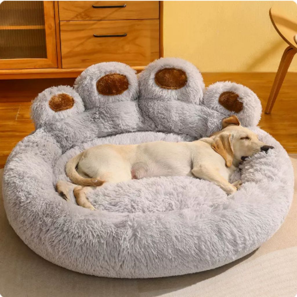 Stress Reduction Bed Pet Paw - Shop 4 pawz