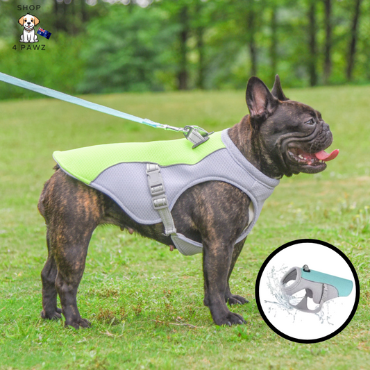 CoolPup Armor™ Cooling Vest - Shop 4 pawz