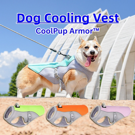 CoolPup Armor™ - The Ultimate Summer Shield for Your Dog - Shop 4 pawz