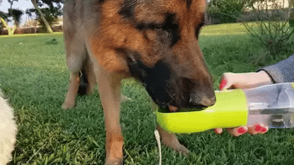 LunaGo™ Portable Dog Water Bottle & Treat Carrier - Shop 4 pawz