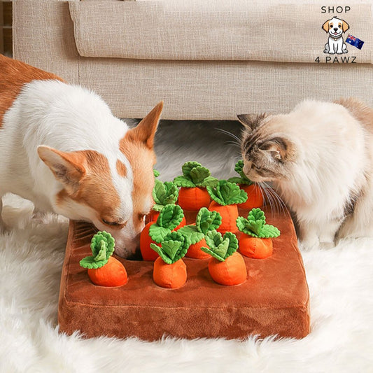 Carrot Snuffle Mat For Dogs and Cats - Shop 4 pawz