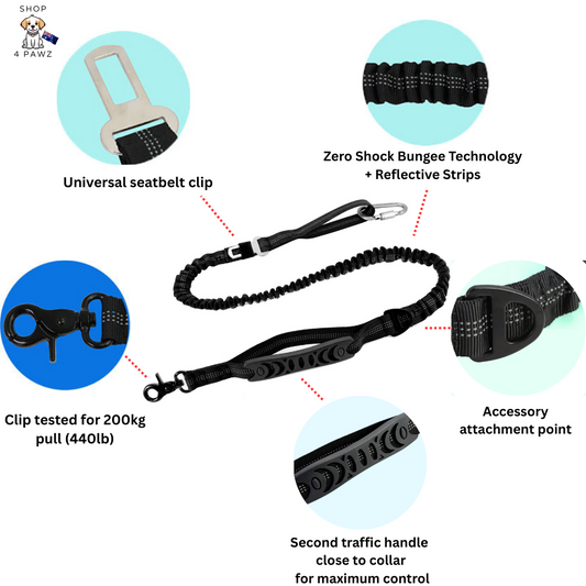 The Ultimate SafeStride™ Heavy Duty Dog Leash - Shop 4 pawz