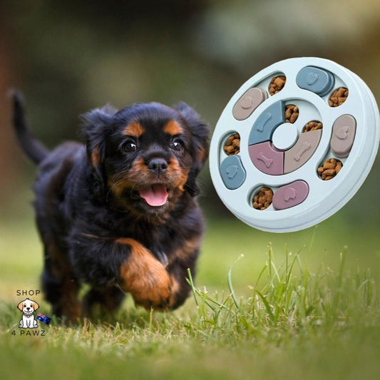 Dog Slow Feeding Puzzle - Shop 4 pawz