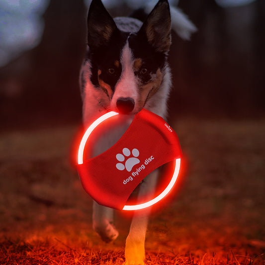 LED Light Dog Flying Discs - Shop 4 pawz