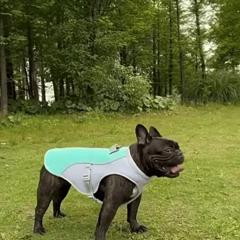 CoolPup Armor™ - The Ultimate Summer Shield for Your Dog - Shop 4 pawz