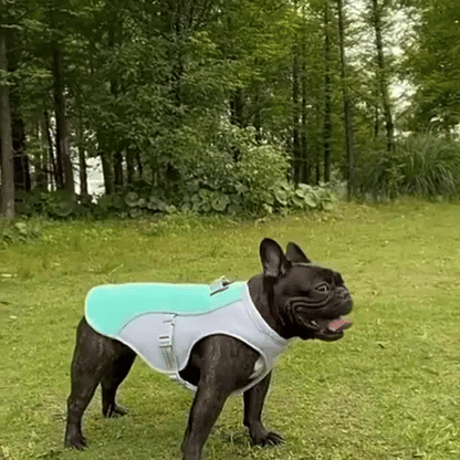 CoolPup Armor™ - The Ultimate Summer Shield for Your Dog - Shop 4 pawz