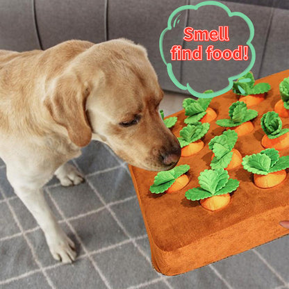 Carrot Snuffle Mat For Dogs and Cats - Shop 4 pawz