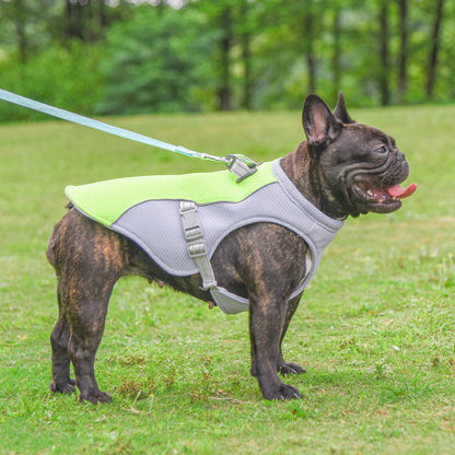CoolPup Armor™ - The Ultimate Summer Shield for Your Dog - Shop 4 pawz